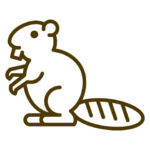 dübBiber